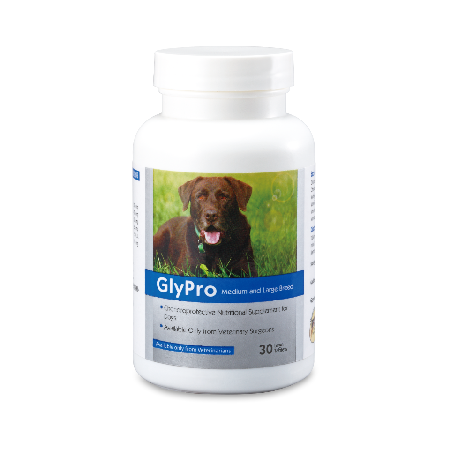 寵特寶-骼萊優大型 骼萊優GlyPro 中大型犬用