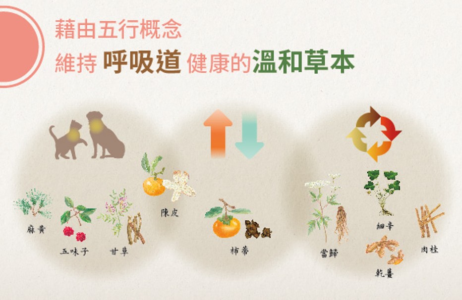寵特寶 養氣 溫和草本