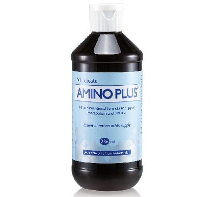 胺寶236ml 450px 胺寶 AminoPlus 236ml