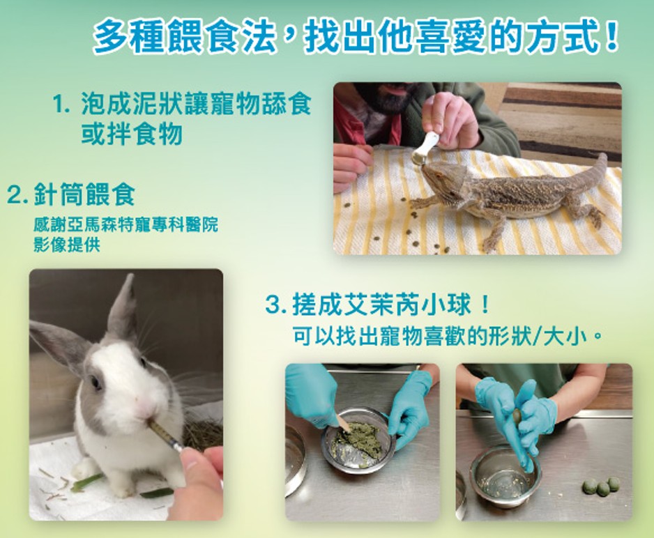 艾茉芮草食恢復期 多種餵法