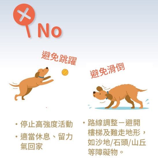 狗狗關節炎照護方法：體重控制，減少關節負擔