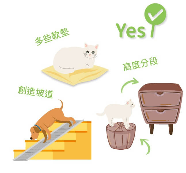 貓咪關節炎的照護方式之一是設置低階跳台或緩坡
